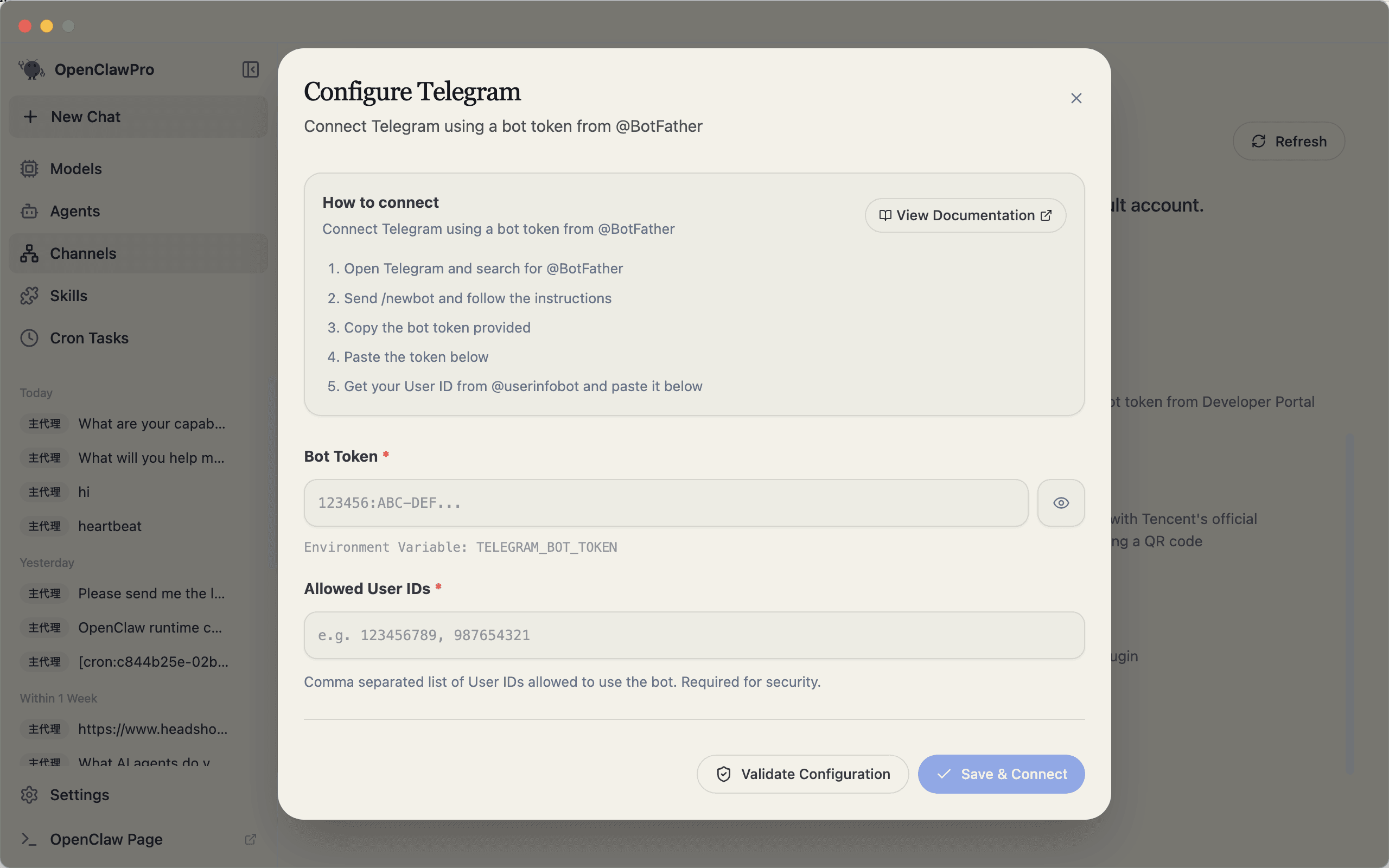 Messaging integration details in YourClaw Pro